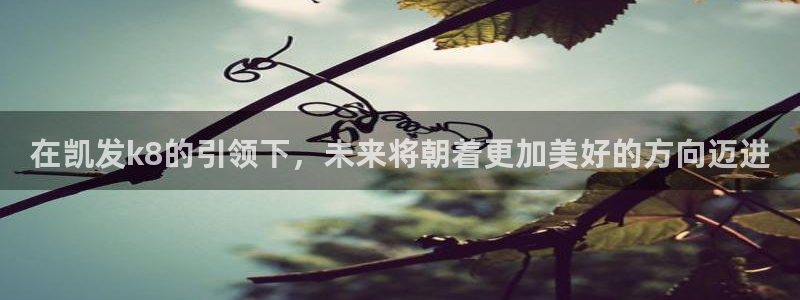 壹号娱乐体育官网登录：在凯发k8的引领下，未来将朝着更加美好的方向迈进