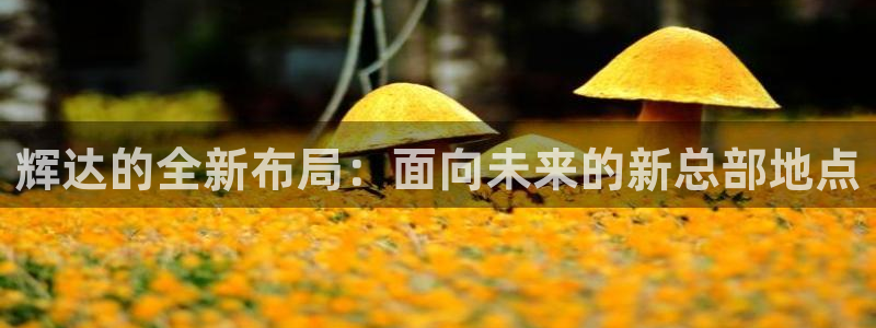 壹号娱乐体育和杏耀是哪个公司的：辉达的全新布局：面向未来的新总部地点