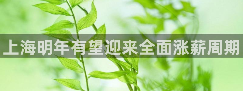 壹号娱乐f平台注册：上海明年有望迎来全面涨薪周期