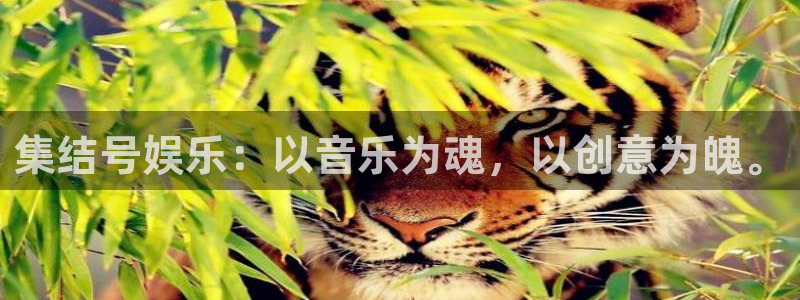 壹号娱乐体育注册代理：集结号娱乐：以音乐为魂，以创意为魄。