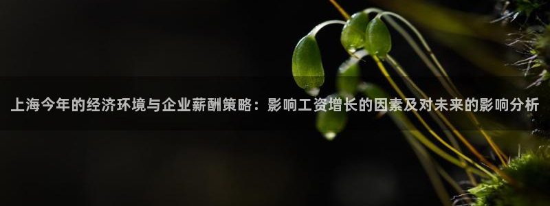 壹号娱乐体育和杏耀是哪个公司的：上海今年的经济环境与企业薪酬策略：影响工资增长的因素及对未来的影响分析