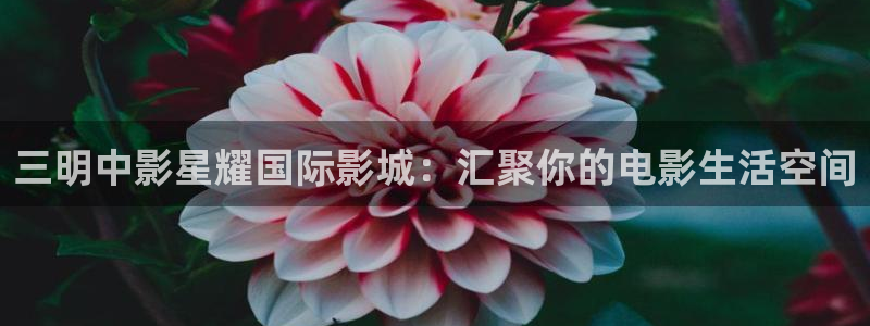 壹号娱乐2官网：三明中影星耀国际影城：汇聚你的电影生活空间