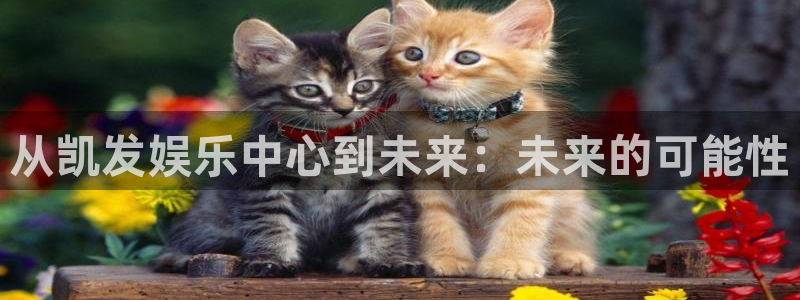 壹号娱乐2代理注册：从凯发娱乐中心到未来：未来的可能性