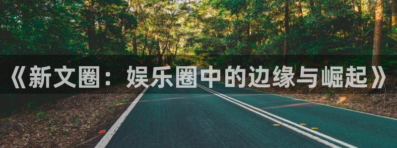 壹号娱乐登录注册：《新文圈：娱乐圈中的边缘与崛起》