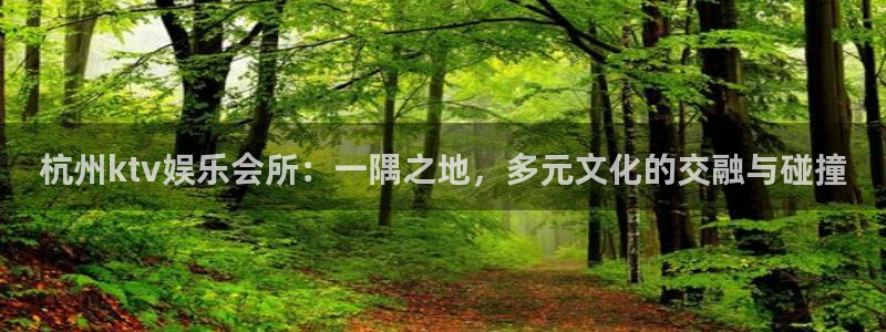 壹号娱乐体育2：杭州ktv娱乐会所：一隅之地，多元文化的交融与碰撞