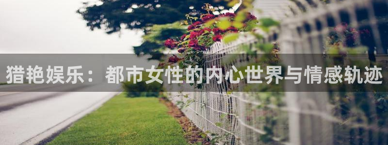 壹号娱乐主管：猎艳娱乐：都市女性的内心世界与情感轨迹