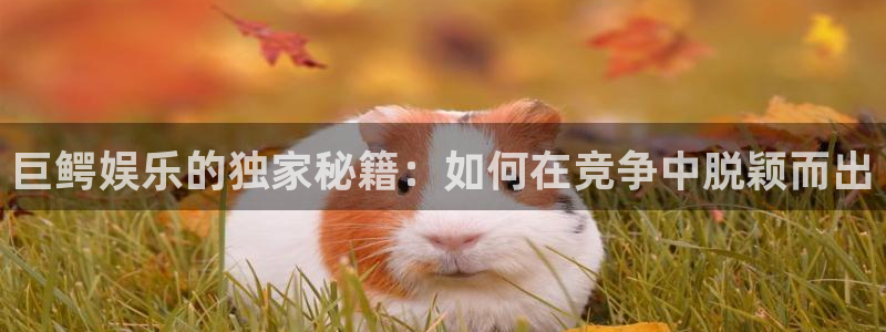 壹号娱乐注册：巨鳄娱乐的独家秘籍：如何在竞争中脱颖而出