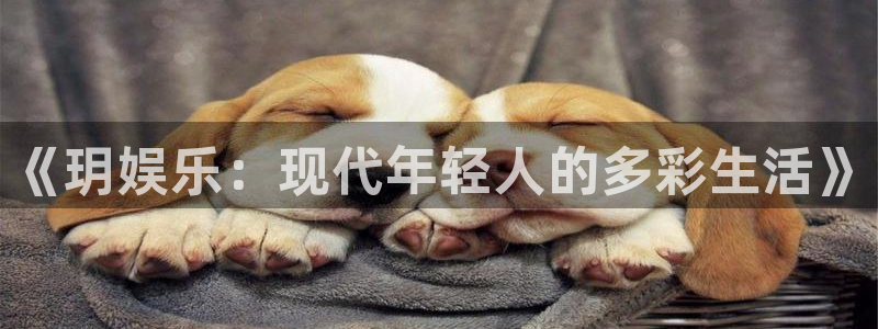 壹号娱乐体育免费注册入口：《玥娱乐：现代年轻人的多彩生活》