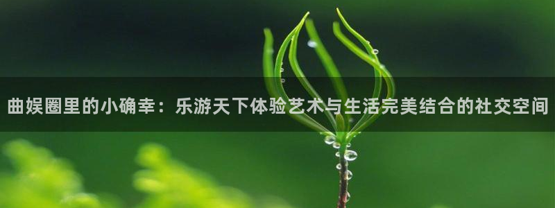 壹号娱乐体育官网登录：曲娱圈里的小确幸：乐游天下体验艺术与生活完美结合的社交空间