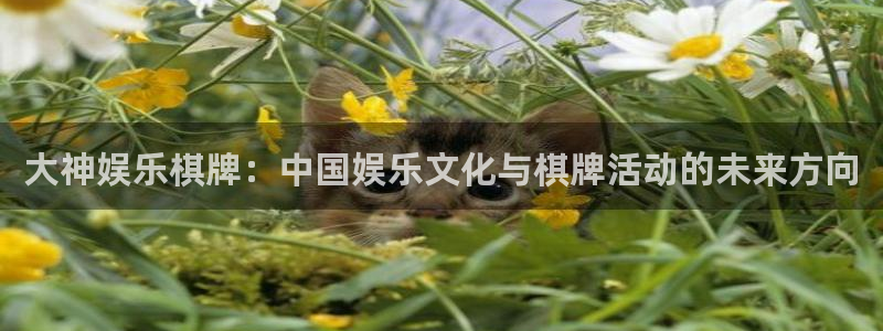 壹号娱乐f凯捷平台在线注册：大神娱乐棋牌：中国娱乐文化与棋牌活动的未来方向