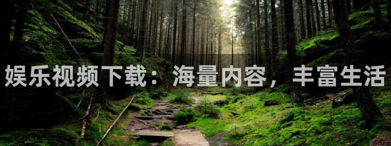 壹号娱乐3：娱乐视频下载：海量内容，丰富生活