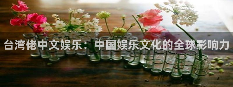 壹号娱乐体育凯捷平台代理：台湾佬中文娱乐：中国娱乐文化的全球影响力