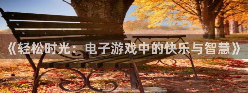壹号娱乐平台：《轻松时光：电子游戏中的快乐与智慧》