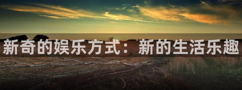 壹号娱乐凯捷注册：新奇的娱乐方式：新的生活乐趣
