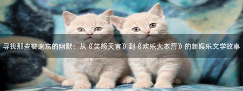 上海壹号娱乐汽车电子有限公司：寻找那些被遗忘的幽默：从《笑怒天宫》到《欢乐大本营》的新娱乐文学故事