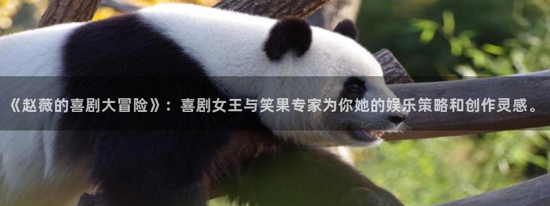 壹号娱乐注册：《赵薇的喜剧大冒险》：喜剧女王与笑果专家为你她的娱乐策略和创作灵感。