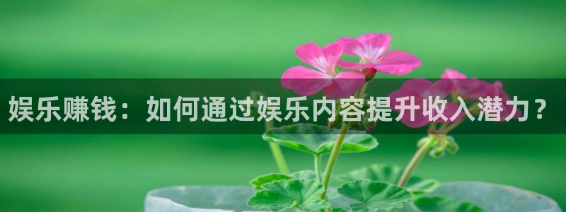 壹号娱乐4注册：娱乐赚钱：如何通过娱乐内容提升收入潜力？