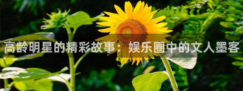 壹号娱乐体育在线注册：高龄明星的精彩故事：娱乐圈中的文人墨客