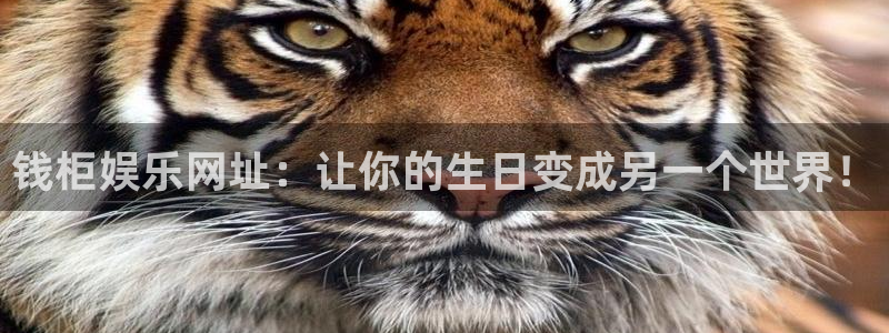 壹号娱乐体育：钱柜娱乐网址：让你的生日变成另一个世界！