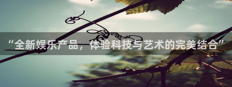 壹号娱乐注册：“全新娱乐产品，体验科技与艺术的完美结合”