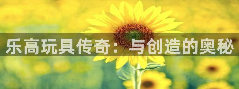 壹号娱乐2体育登录入口：乐高玩具传奇：与创造的奥秘