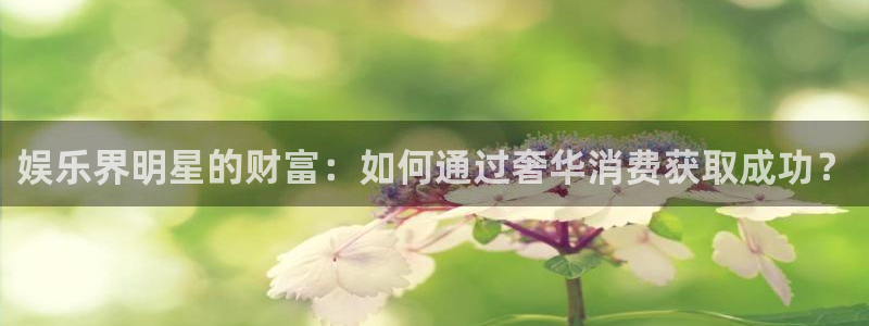 壹号娱乐2平台登录：娱乐界明星的财富：如何通过奢华消费获取成功？