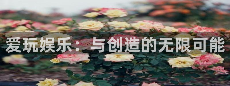 壹号娱乐集团股票：爱玩娱乐：与创造的无限可能