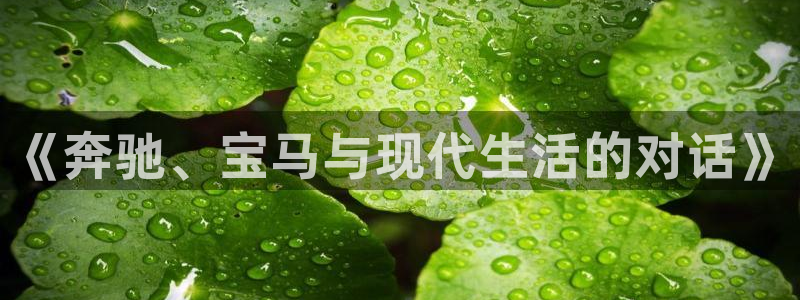 壹号娱乐体育1招商：《奔驰、宝马与现代生活的对话》