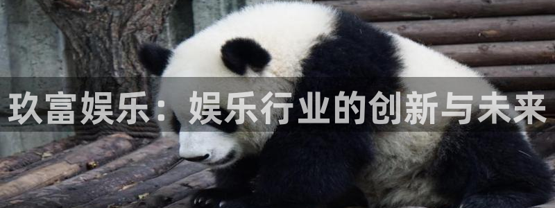 壹号娱乐登录界面入口：玖富娱乐：娱乐行业的创新与未来