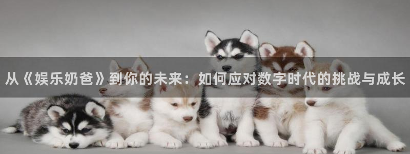壹号娱乐零能源集团：从《娱乐奶爸》到你的未来：如何应对数字时代的挑战与成长