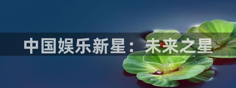 壹号娱乐2注册：中国娱乐新星：未来之星