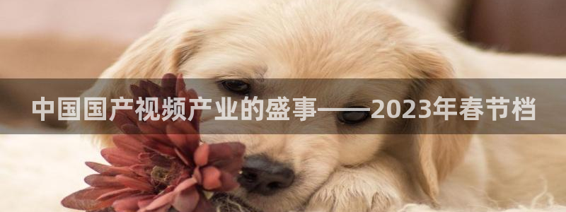 壹号娱乐4：中国国产视频产业的盛事——2023年春节档